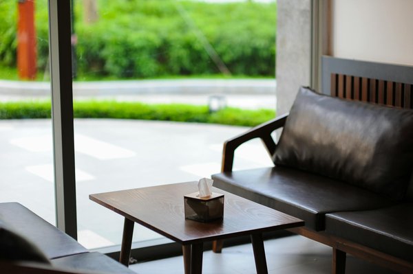 Essential Health Assessments for Your Pet Rabbit"s First Year: A Comprehensive Guide