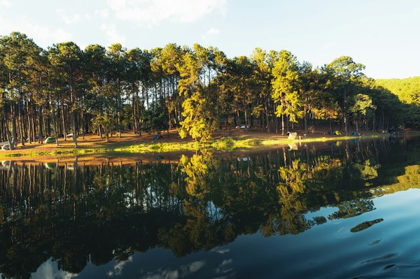 The ultimate guide to rent a bike in monaco effortlessly